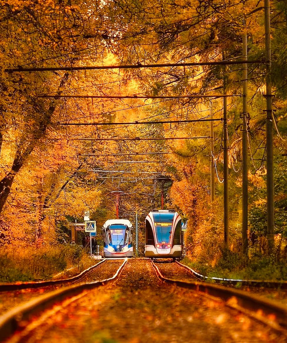 🍃Осенние фотолокации в Москве
Измайловский парк
📍Московский просп., 2
Парк Малевича
📍Одинцовский городской округ, парк Малевича
Бирюлевский лесопарк
📍Бирюлевский лесопарк
Поселок художников
📍ул | Сетка — социальная сеть от hh.ru
