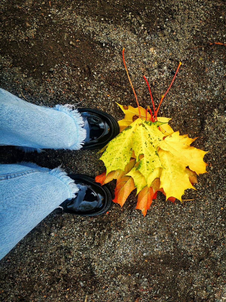 🔥🔥🔥🔥
На этой недели тема:
«Эмоциональный интеллект и осенняя адаптация»
🌧️ Как эмоциональный интеллект помогает пережить осень?
Осень — время тёплых пледов, ароматного чая… и иногда хандры | Сетка — социальная сеть от hh.ru