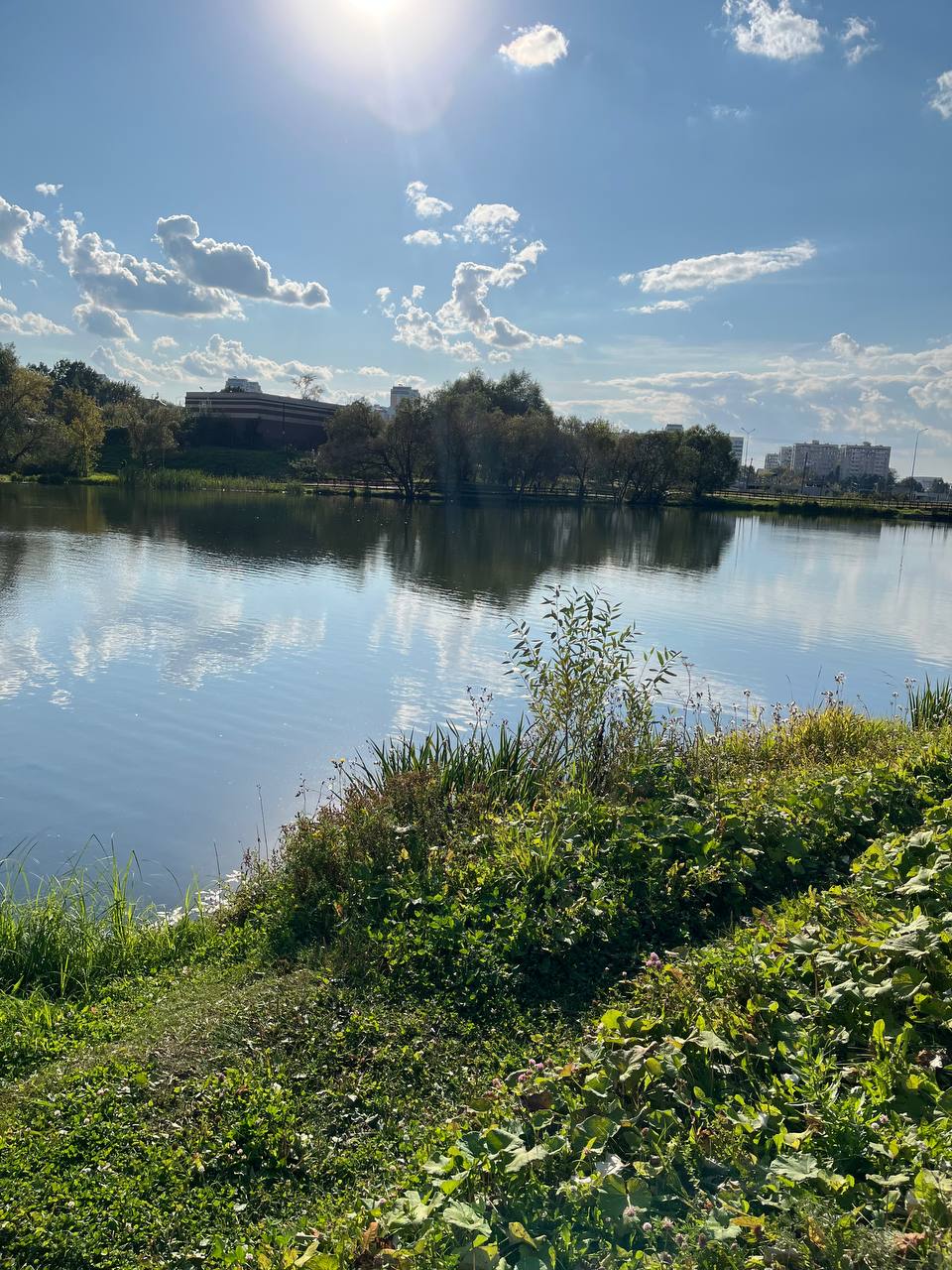 Осень 🍁🍂🌰 | Сетка — социальная сеть от hh.ru