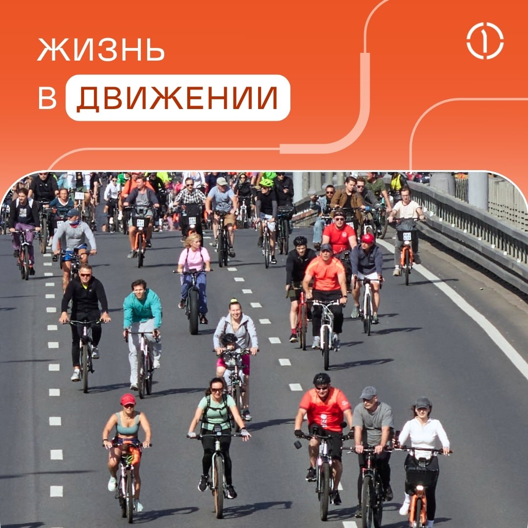 🚗 Забудьте про автомобиль!
Сегодня — «Всемирный день без автомобиля», и миллионы людей по всему миру на сутки отказываются от личной машины и такси в пользу общественного транспорта ради экологии горо... | Сетка — социальная сеть от hh.ru