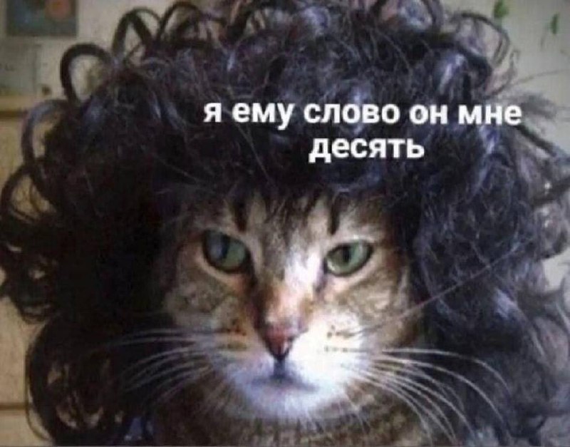 Озарение дня
А вы замечали, что команды, которые умеют зарабатывать, более гибкие и менее требовательные чем те, кто обеспечивает их деятельность? Творчески-отлетевшие не в счет
Если замечали, то вот ... | Сетка — социальная сеть от hh.ru