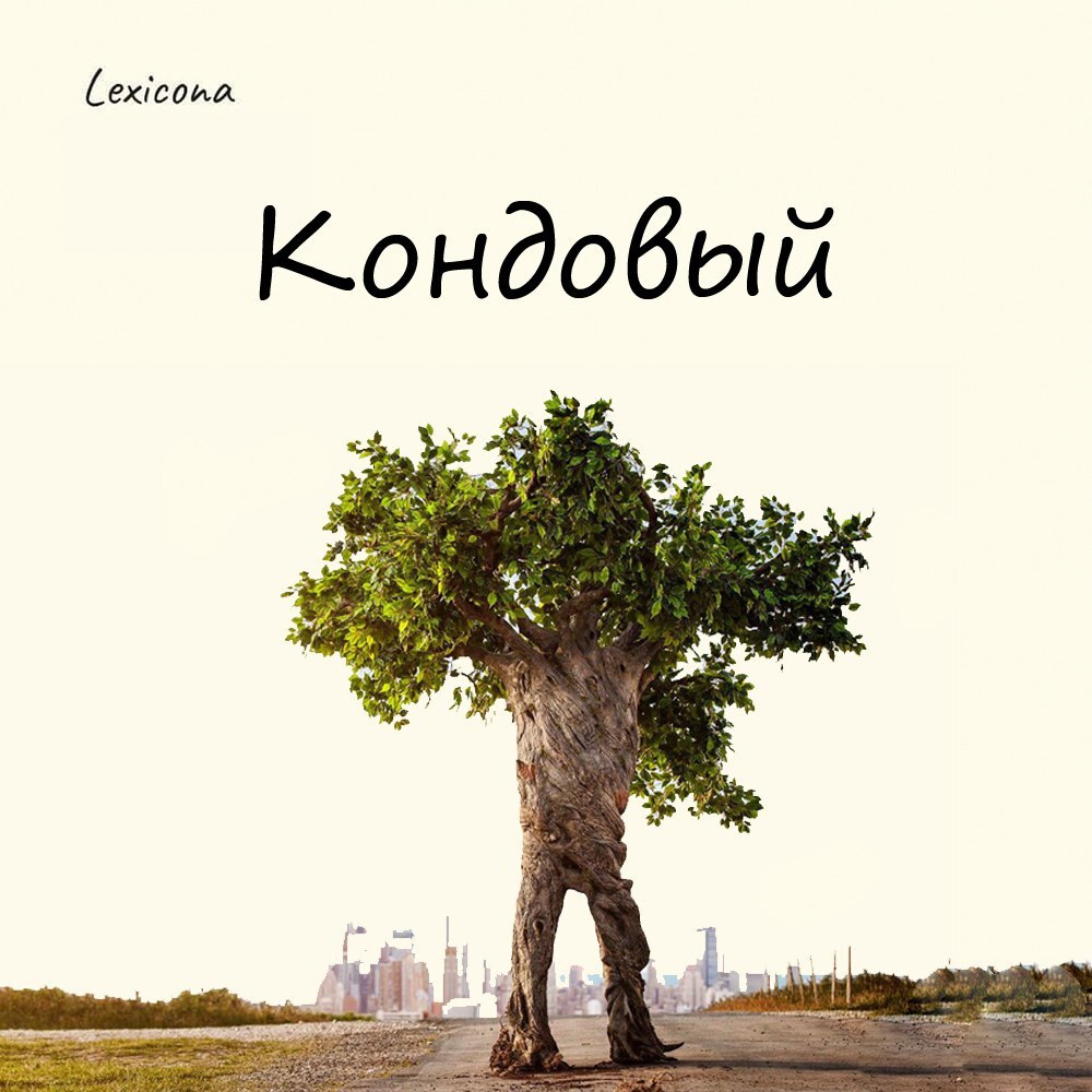 Кондовый 🌲
Звучит обидно, но давайте разбираться: 🤔
Изначально слово "кондовый" применялось исключительно для характеристики и описания особо ценной хвойной древесины, обладающей высокой прочностью и ... | Сетка — социальная сеть от hh.ru