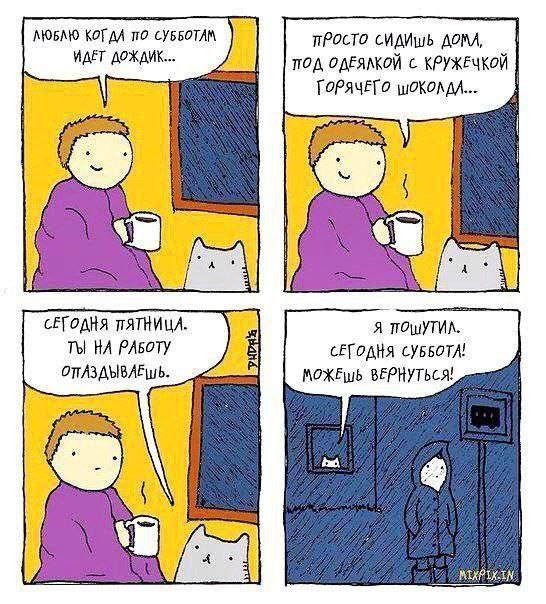 Жестоко 😂😂😂
#Юмор@poldner #Коты@poldner | Сетка — социальная сеть от hh.ru