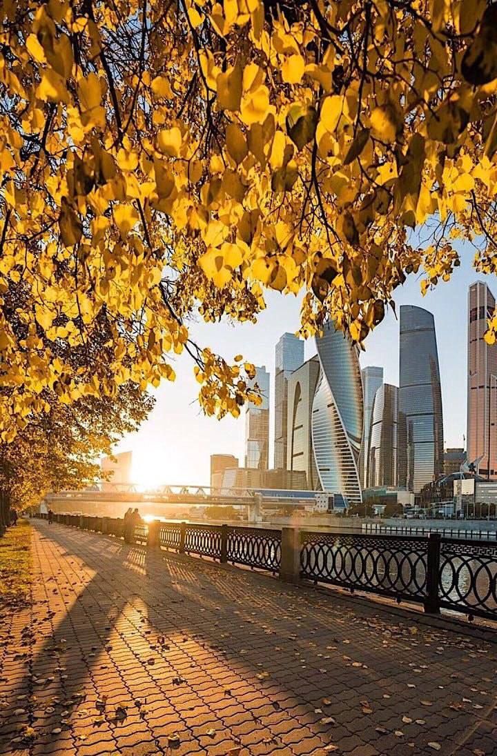 #афиша #вторник #23сентября
📎Афиша мероприятий в Москве
на 23 сентября
🔘Новая выставка в жуткой галерее Москвы
📍ул. Самокатная, 4, стр | Сетка — социальная сеть от hh.ru
