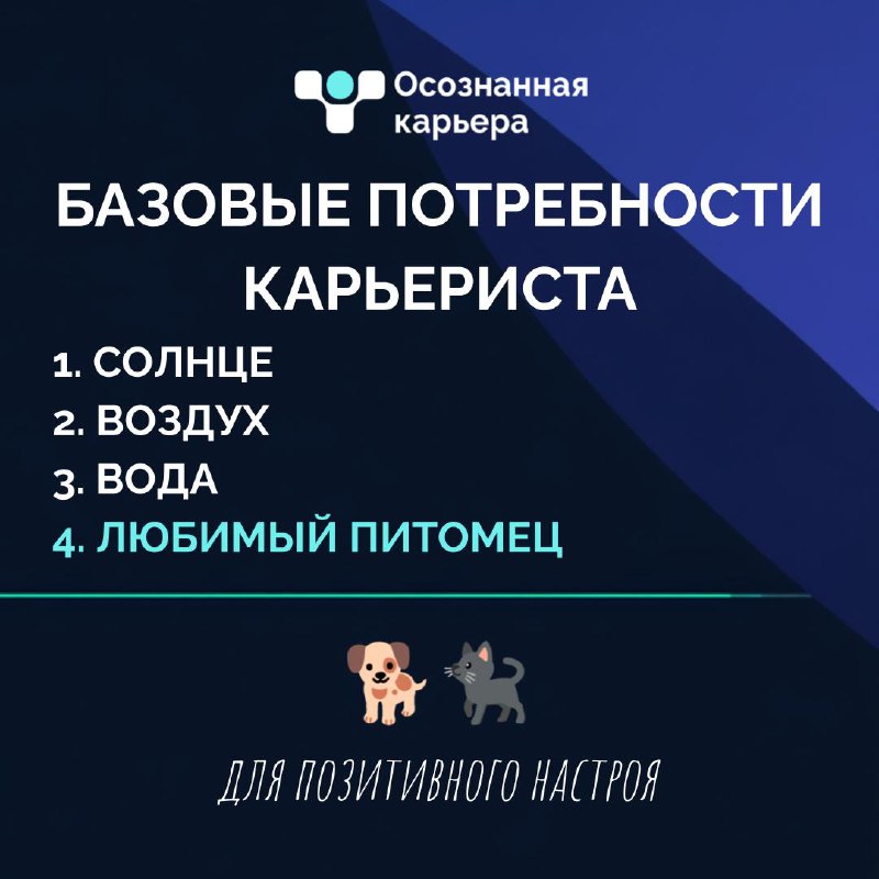 Что еще добавим в этот список?
Делитесь в комментариях, что вам помогает в карьере✍️ | Сетка — социальная сеть от hh.ru