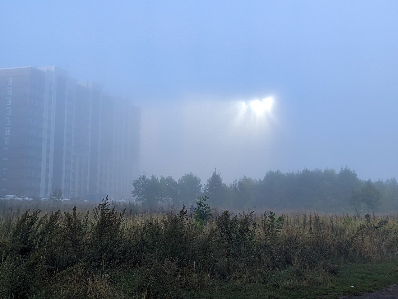 Раннее утро с дымкой на «Перспективном»
📷 Дмитрий Артюшенко | Сетка — социальная сеть от hh.ru