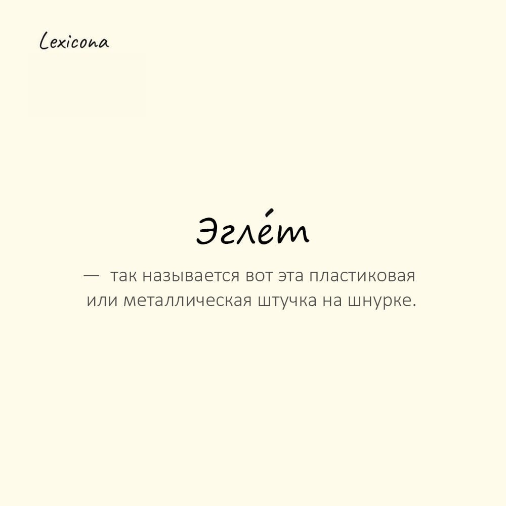 Эглет — так называется вот эта пластиковая или металлическая штучка на шнурке, без которой ужасно тяжело засунуть его в дырочку на кроссовках или ботинках 👟🔗
Пример употребления:
Эглет на шнурке его б... | Сетка — социальная сеть от hh.ru