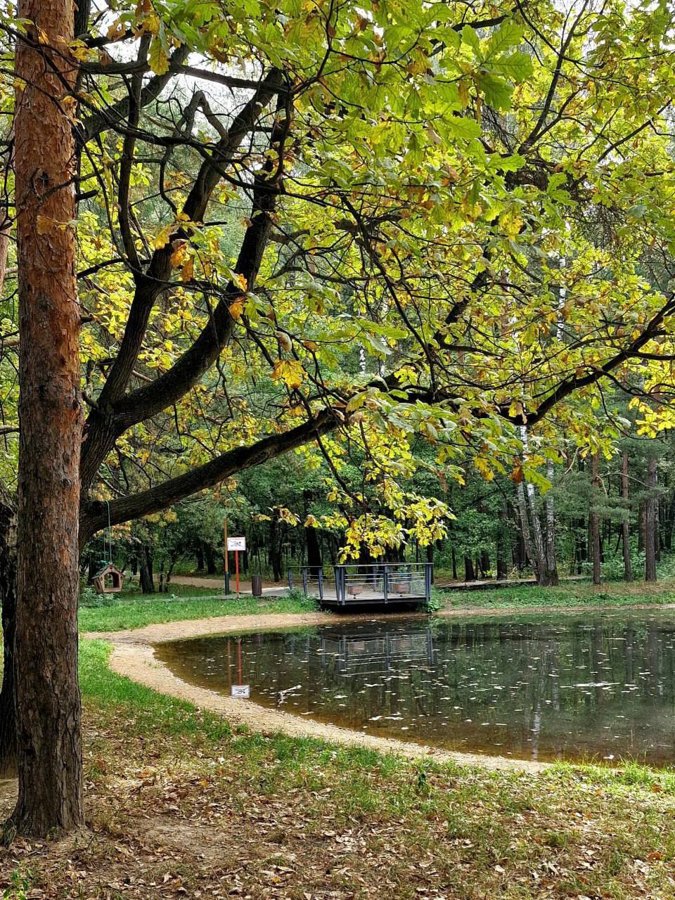 🍂Наступающая осень в Кусково
Любите осень?
❤️ — Да
😁 — Нет
📲Подпишитесь на Вдвижении
#бесплатно #активныйотдых
В этом посте были ссылки, но мы их удалили по правилам Сетки | Сетка — социальная сеть от hh.ru