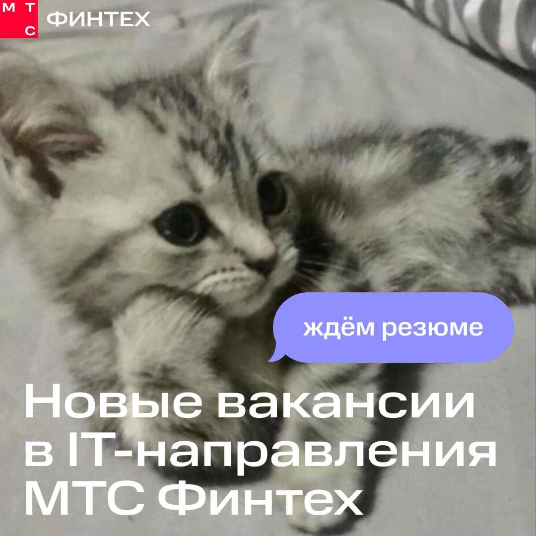 Подвезли список вакансий в команду МТС Финтех | Сетка — социальная сеть от hh.ru