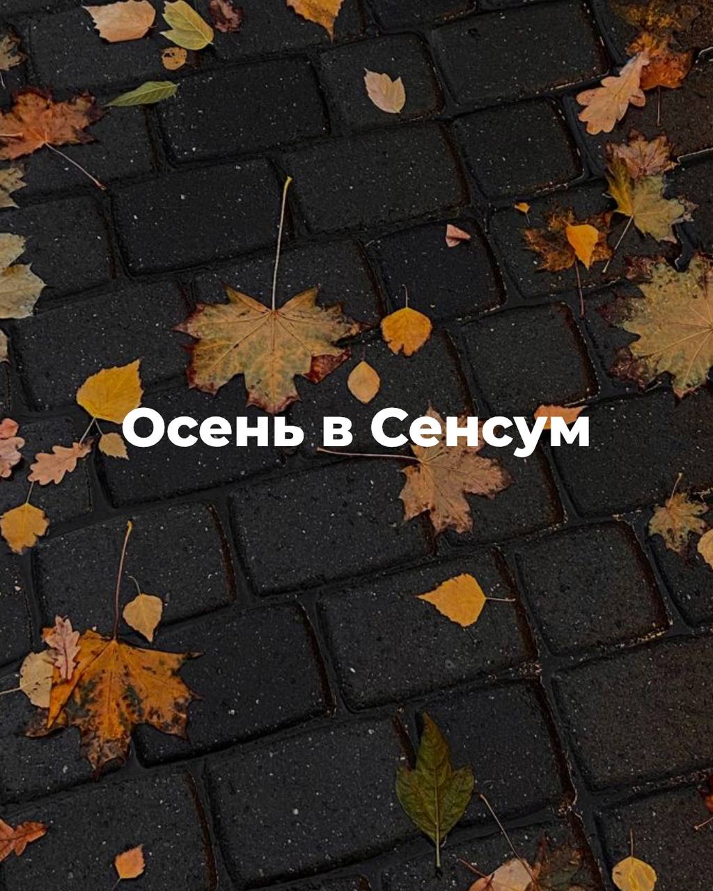 Осень — это не только отчёты, задачи и дедлайны
Осень — это тёплый чай на рабочем столе, уютные свитера и фонарики за окном | Сетка — социальная сеть от hh.ru
