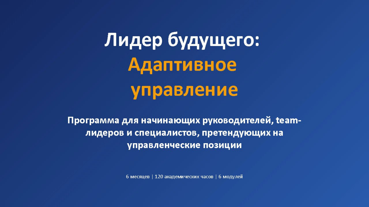 Профиль руководителя и программа развития — всё через ИИ | Сетка — социальная сеть от hh.ru