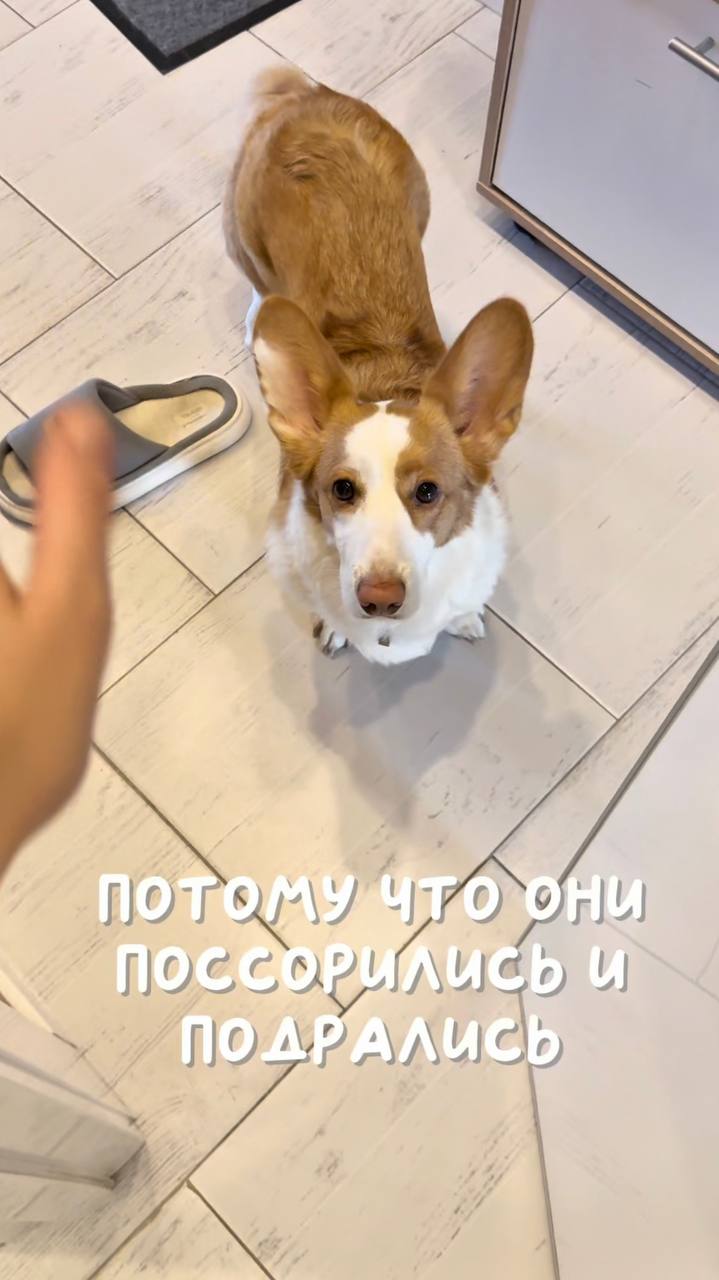 Я тут влог сняла …
Ну типа день из жизнь, поддержите начинающего инди-автора просмотром и лайком 🙏🏻👹
Смотреть тут | Сетка — социальная сеть от hh.ru