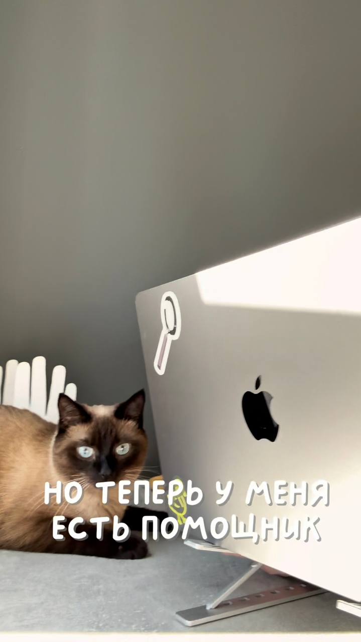 Я тут влог сняла …
Ну типа день из жизнь, поддержите начинающего инди-автора просмотром и лайком 🙏🏻👹
Смотреть тут | Сетка — социальная сеть от hh.ru