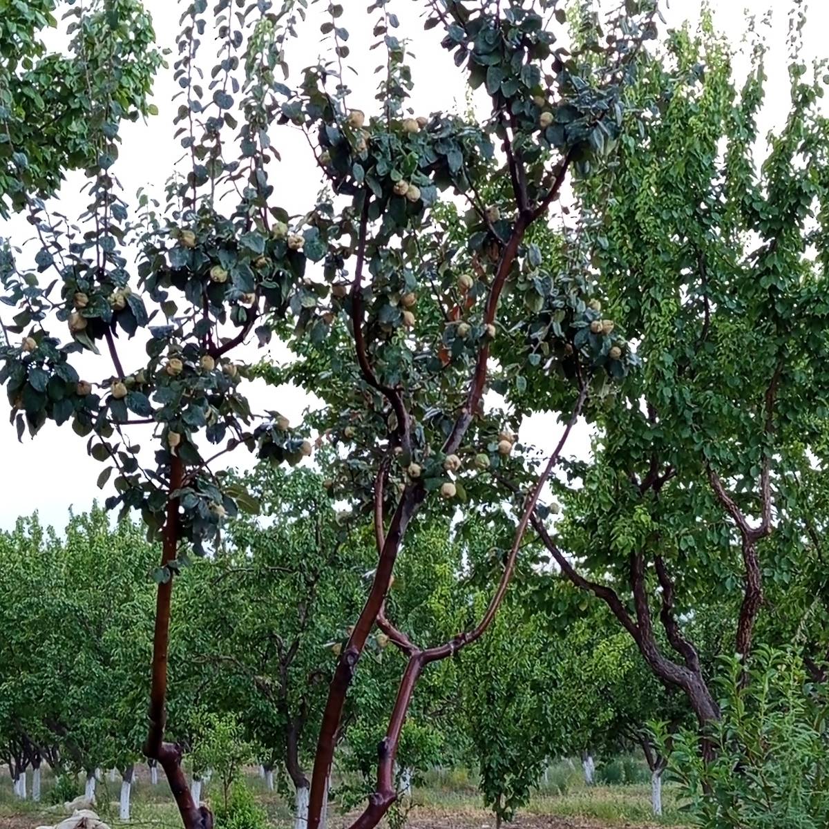 Сер Мер | Сетка — социальная сеть от hh.ru