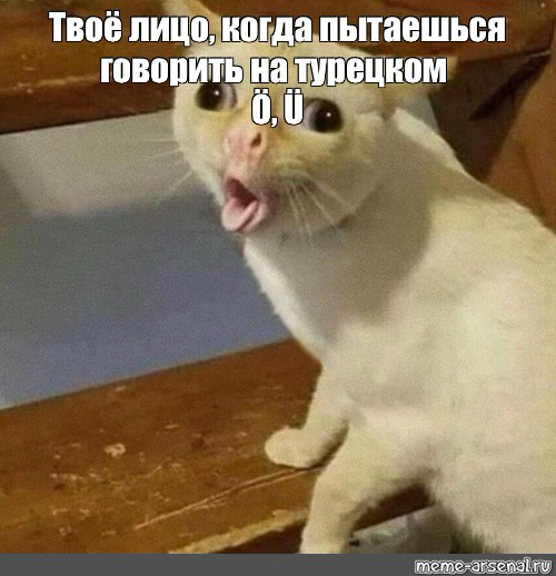 Про те самые -ö и -ü | Сетка — социальная сеть от hh.ru