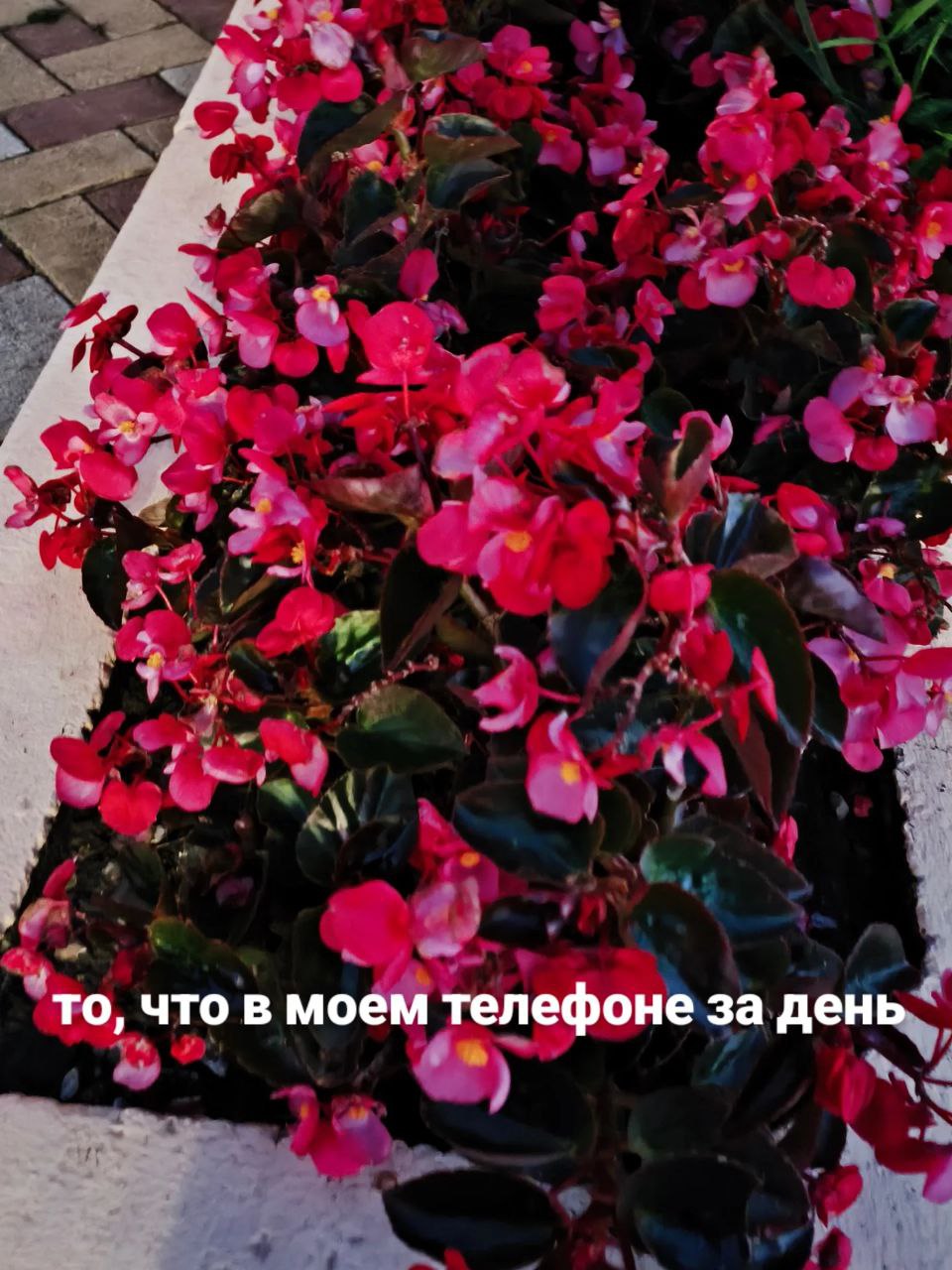 За день мы в ответе за тысячу мелочей помимо работы: чем завтракать, что надеть на улицу, «почему на кухне забился кран», а давала ли я таблетки коту, надо разобрать сваленные вещи, «а я ответила на с... | Сетка — социальная сеть от hh.ru
