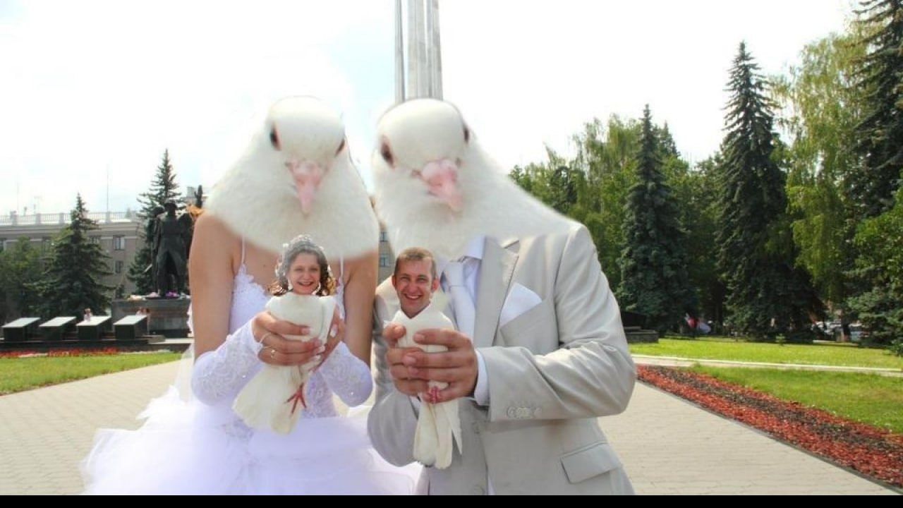 👰🏻‍♀️ Без 5 минут жена, невеста...
В Ставрополе начали принимать заявление на проведение церемонии бракосочетания в 2026 году.
Среди востребованных дат: 20.02, 26.05, 20.06, а также 05.05, 06.06, 07 | Сетка — социальная сеть от hh.ru