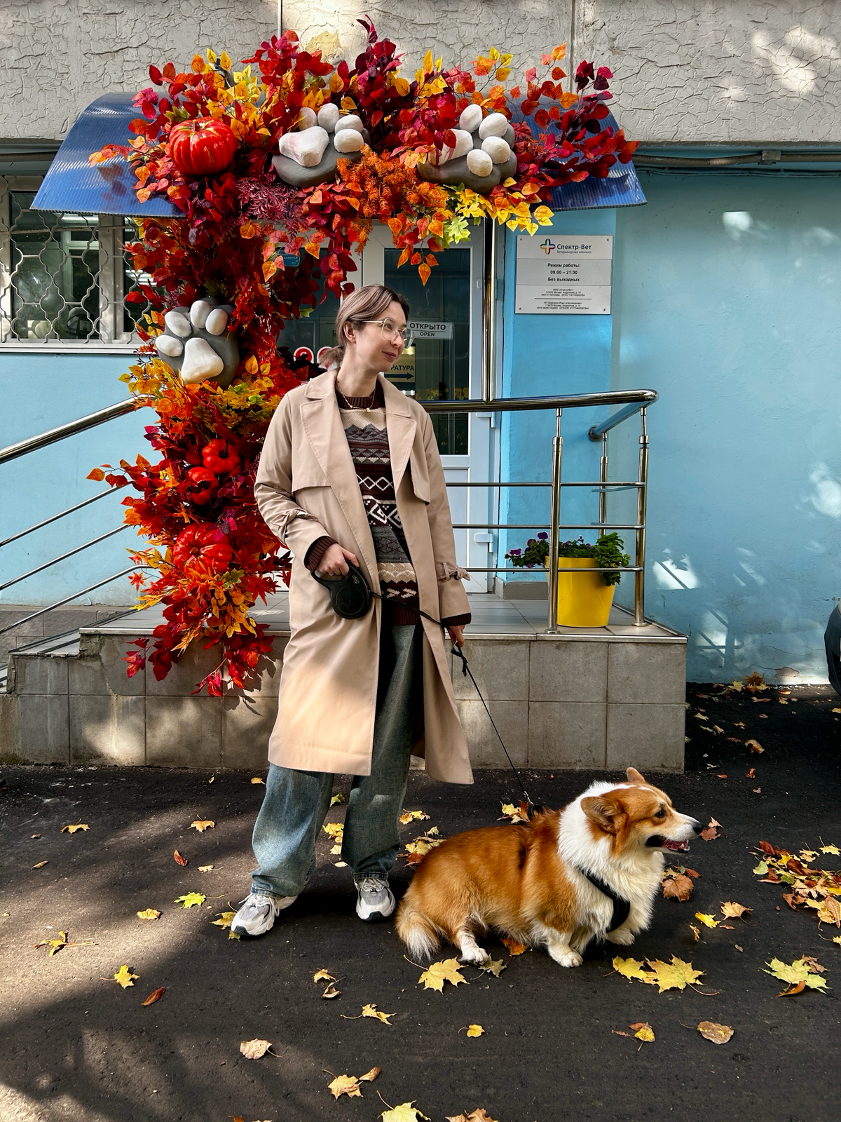 Сложности перевода или почему я стала multi-skilled hr | Сетка — социальная сеть от hh.ru