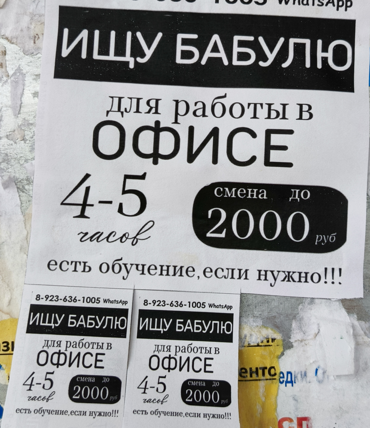 Интересное предложение по работе 🧓 | Сетка — социальная сеть от hh.ru