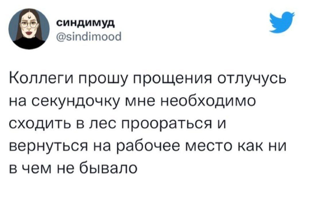 Хорошо, что в офисе есть почти звуконепроницаемые кабинки ✍️ | Сетка — социальная сеть от hh.ru