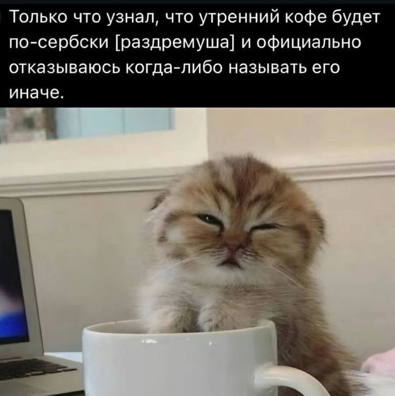 #morning | Сетка — социальная сеть от hh.ru