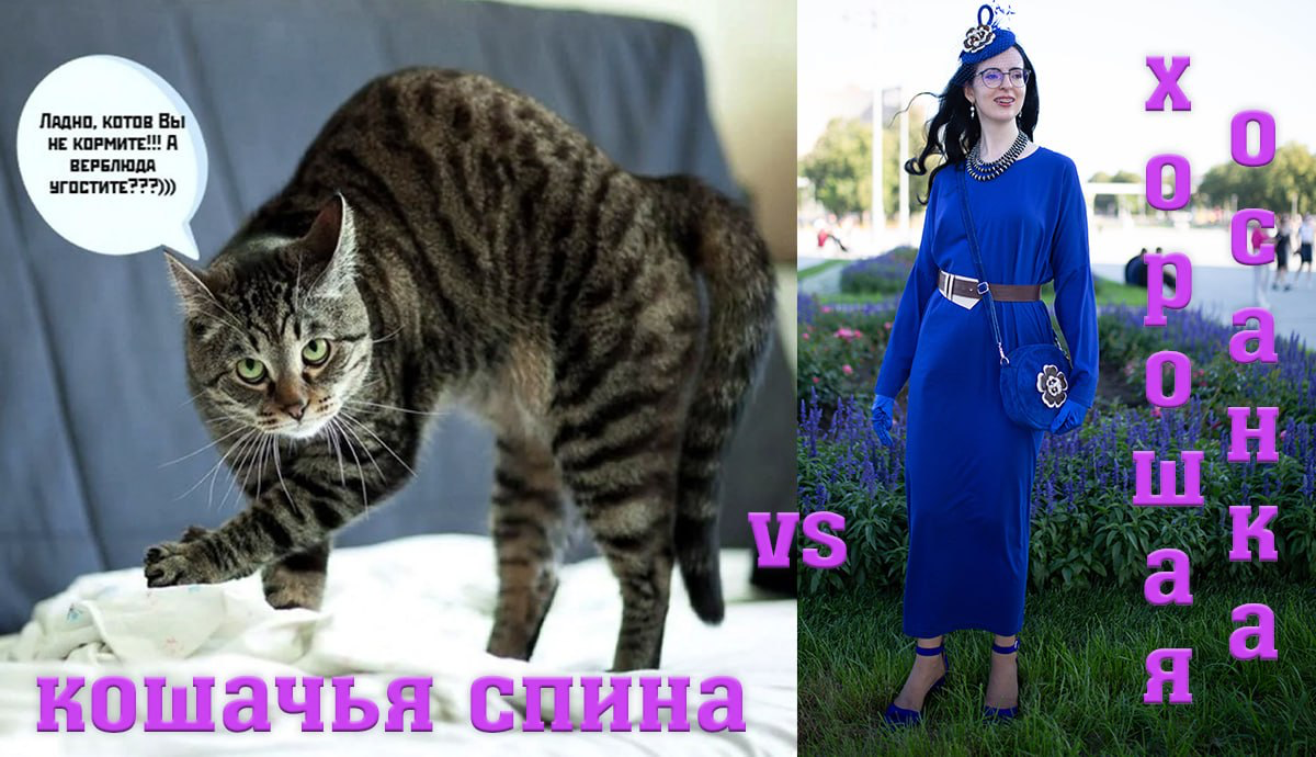 Хорошая осанка vs кошачья спина | Сетка — социальная сеть от hh.ru