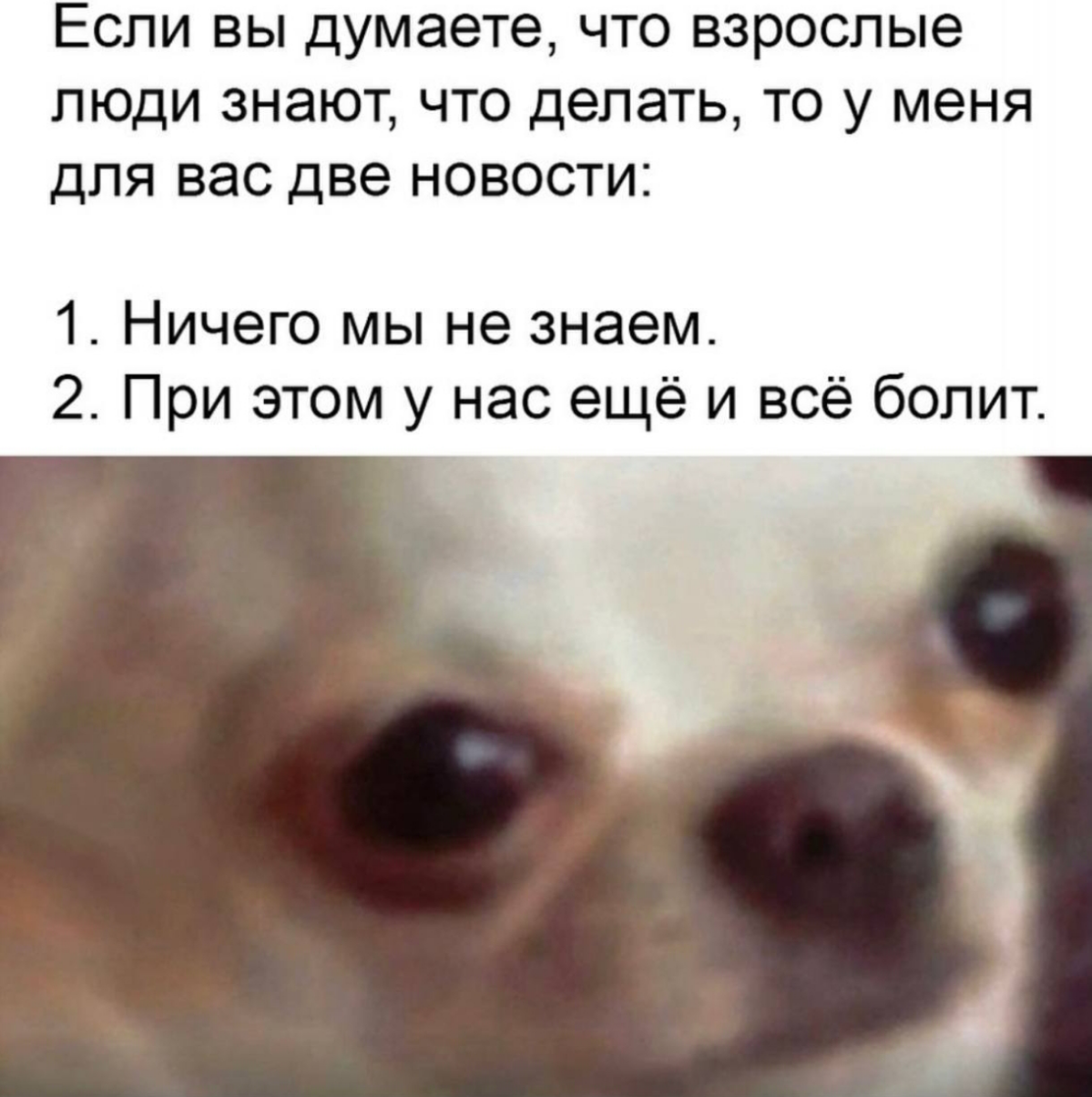Юмор)) | Сетка — социальная сеть от hh.ru