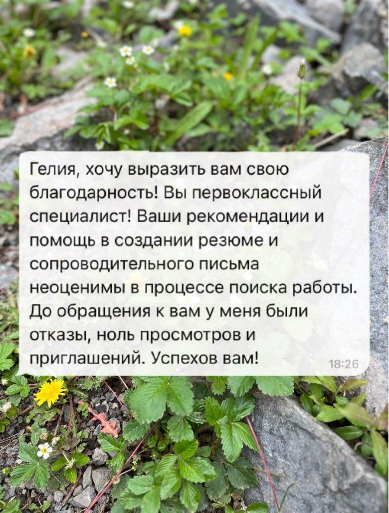 Завершили новое резюме для QA Engineer, выгрузили на hh.ru и ждем офферов❤️
#отзывы | Сетка — социальная сеть от hh.ru