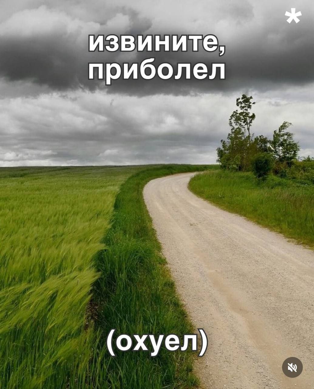 Идеальной подборки пикч для важных переговоров в рабочих чатиках не существ...
Пользуемся. | Сетка — социальная сеть от hh.ru