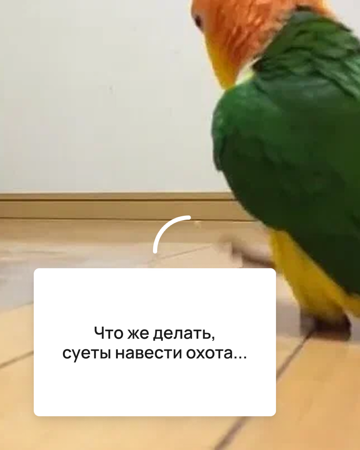 Как работать эффективнее или 3 очевидных совета | Сетка — социальная сеть от hh.ru