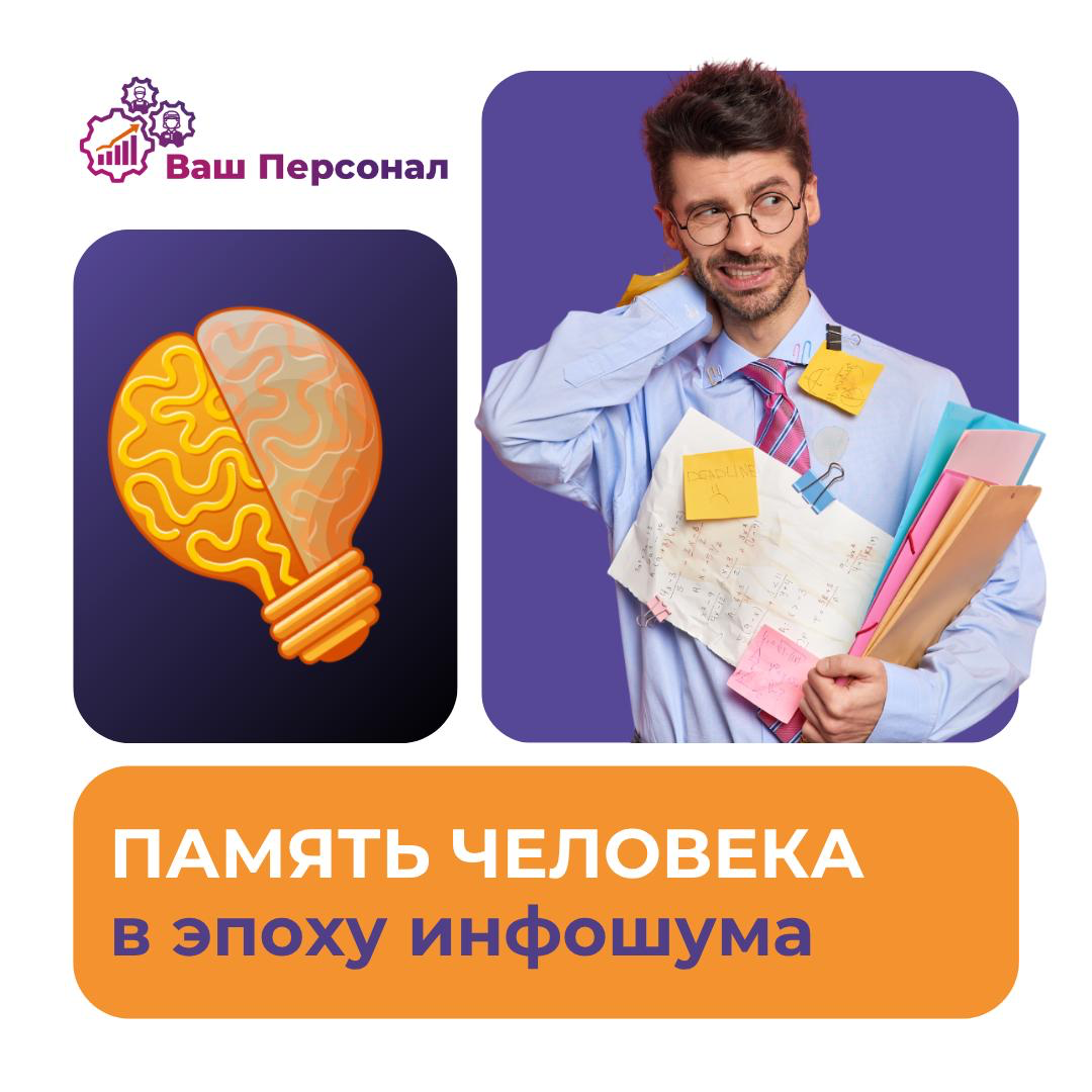 Память человека в эпоху инфошума: как мозг адаптируется? | Сетка — социальная сеть от hh.ru