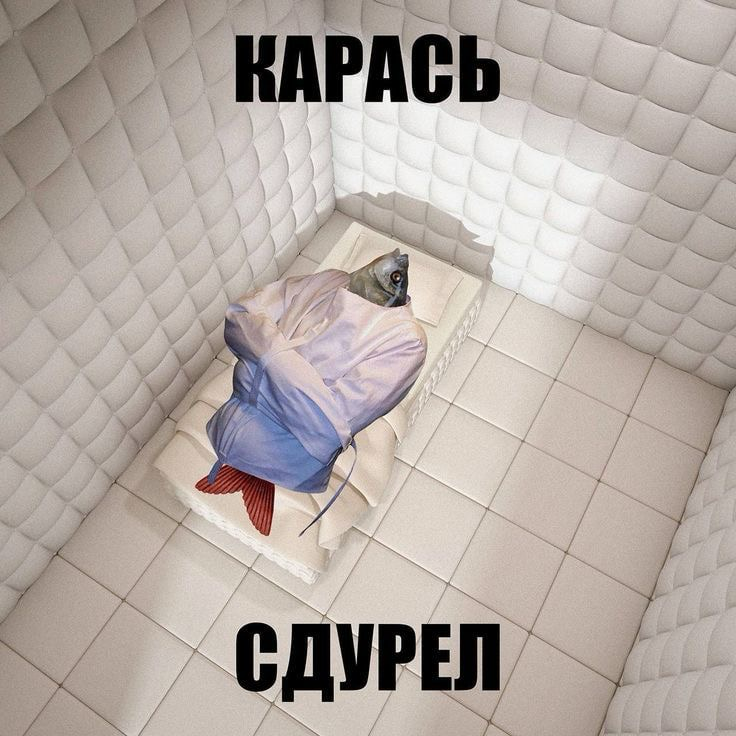 Трэш-контент или как я извинялась перед всем офисом Сушшкофф | Сетка — социальная сеть от hh.ru
