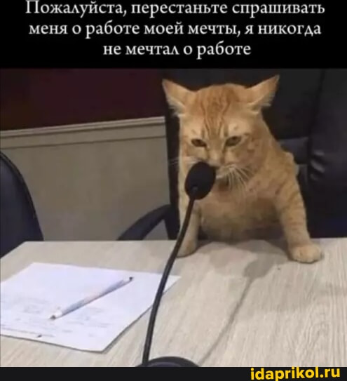 Идеал: зарплата выше рынка, задачи простые | Сетка — социальная сеть от hh.ru
