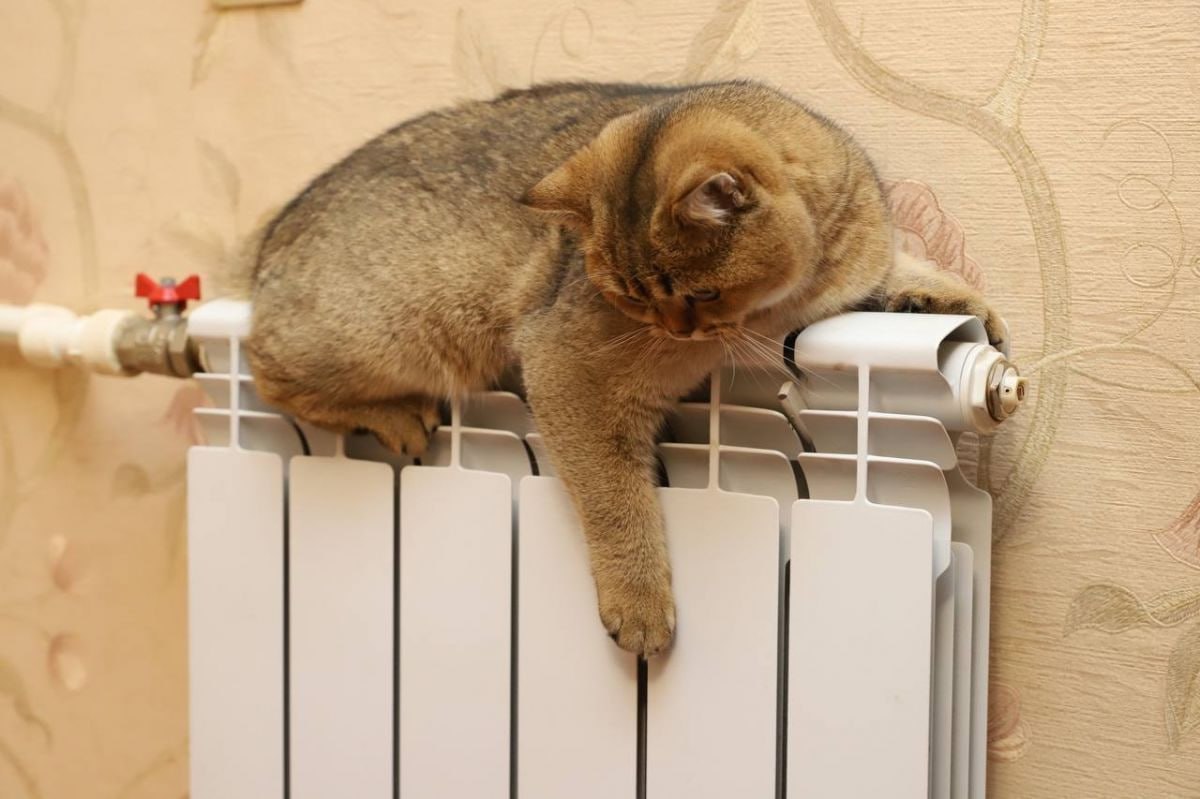 🌡 Сегодня в Москве начнут включать отопление
В первую очередь тепло появится на объектах соц. сферы - детских садах, школах и больницах, а затем, и в жилых домах | Сетка — социальная сеть от hh.ru