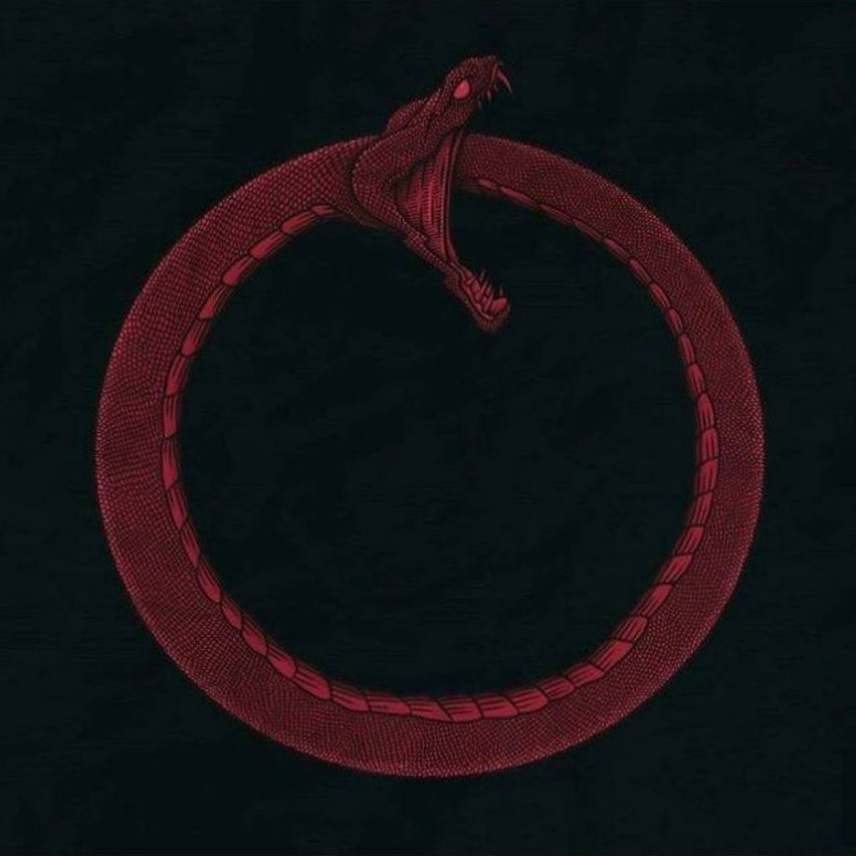 Мамука Гогия | Сетка — социальная сеть от hh.ru