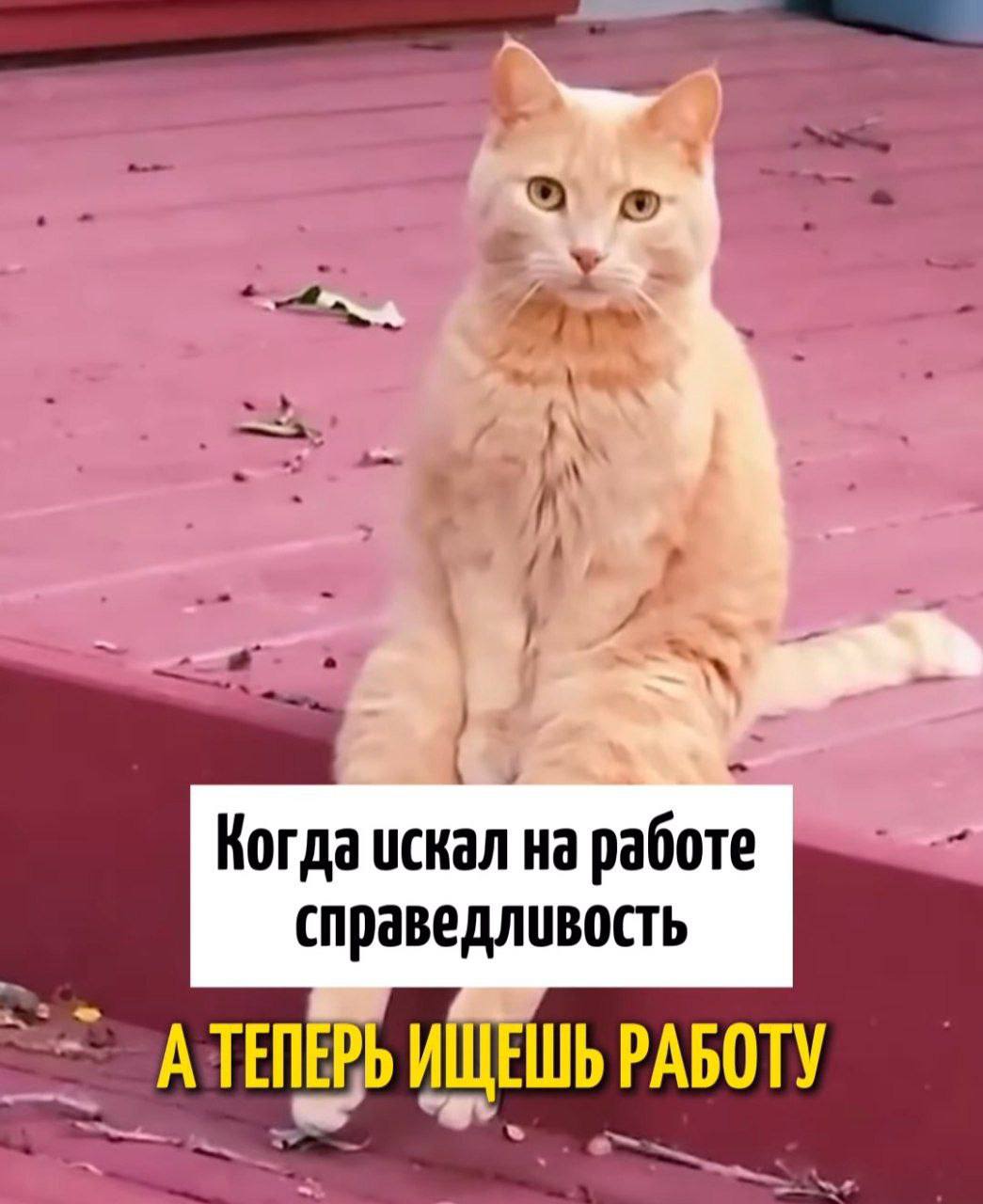 Какие навыки сейчас помогут в смене работы?
Опустим за скобочки гигиенический минимум - вы реально профи с опытом в своем деле и не накручиваете опыт после онлайн курсов
Меняете работу? Что важно учес... | Сетка — социальная сеть от hh.ru