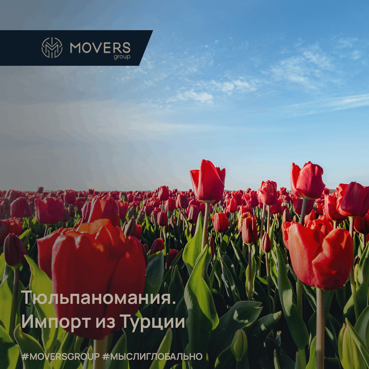 Тюльпаномания. Импорт из Турции💰🌷
В 1637 году одна луковица тюльпана в Голландии стоила как особняк в Амстердаме — 10 000 гульденов (≈2,6 млн рублей сегодня) | Сетка — социальная сеть от hh.ru