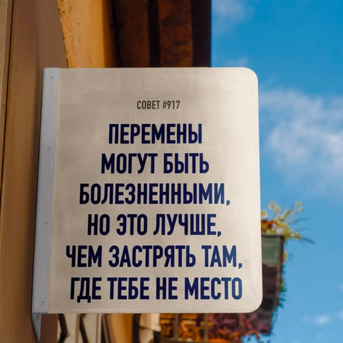 Психологи в сетке