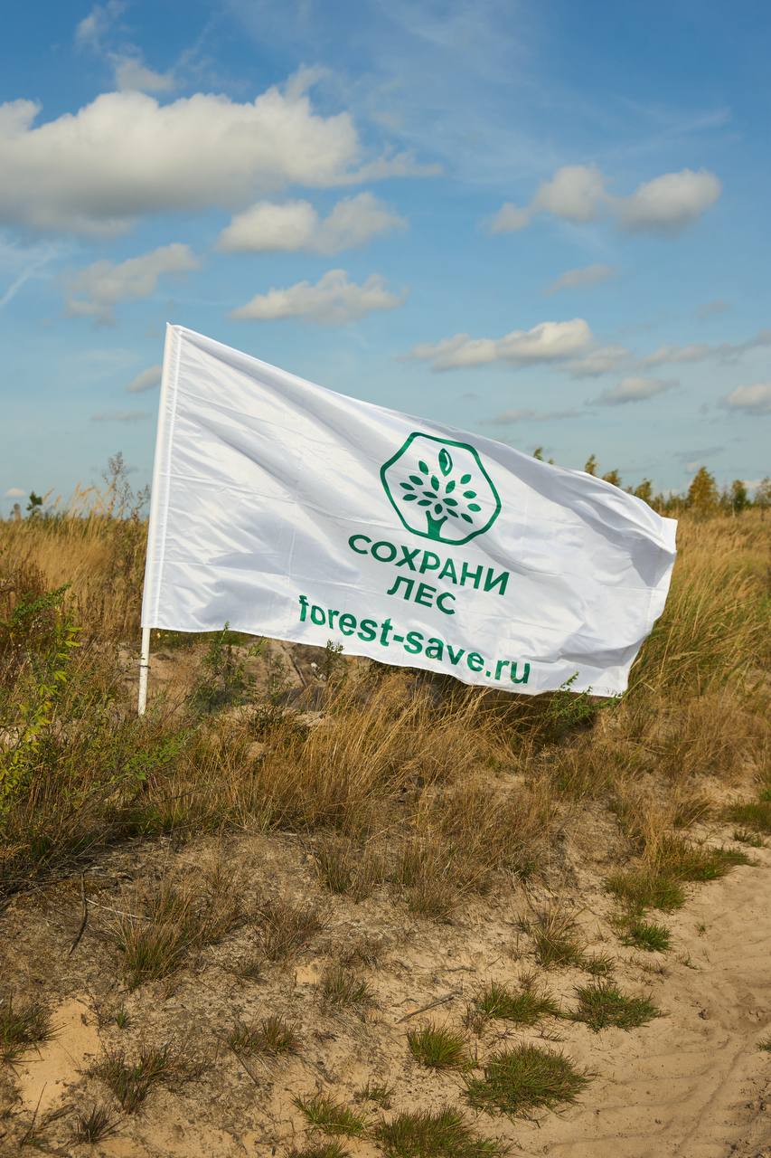 🌲 Тимбилдинг, который спасает планету
На выходных я волонтерила на посадке леса в Рязанской области вместе с командой проекта «Сохрани лес» | Сетка — социальная сеть от hh.ru