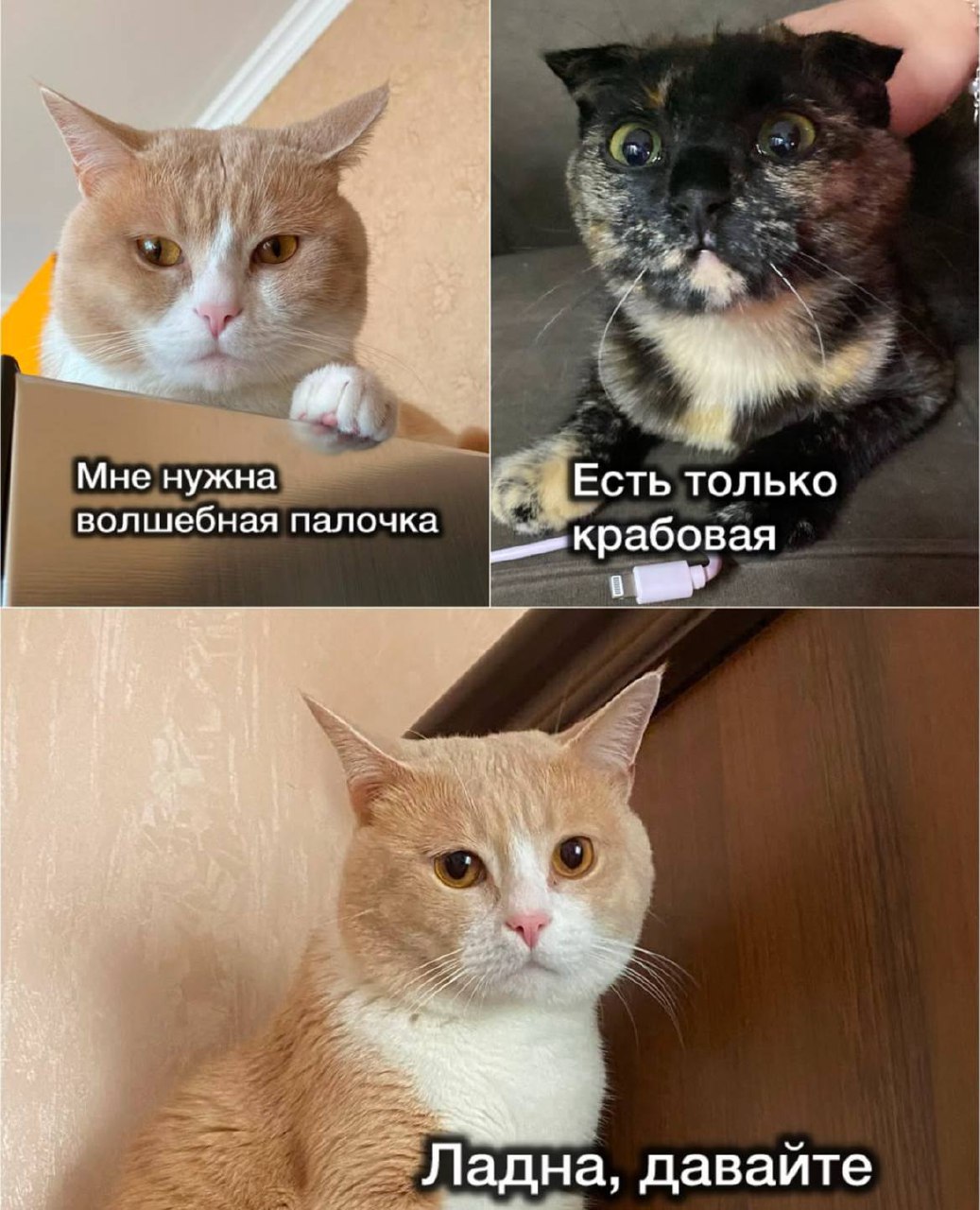 Минфин сегодня слушал песню Тейлор Свифт и принимал новый бюджет со ставкой НДС 22%
Как говорится, кризис, денег нет, но вы держитесь и еще 2% со своих покупок в казну перечисляйте | Сетка — социальная сеть от hh.ru