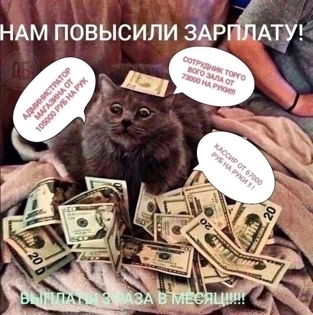 Пока ты сидишь и думаешь, у нас повысили заработную плату!!! | Сетка — социальная сеть от hh.ru