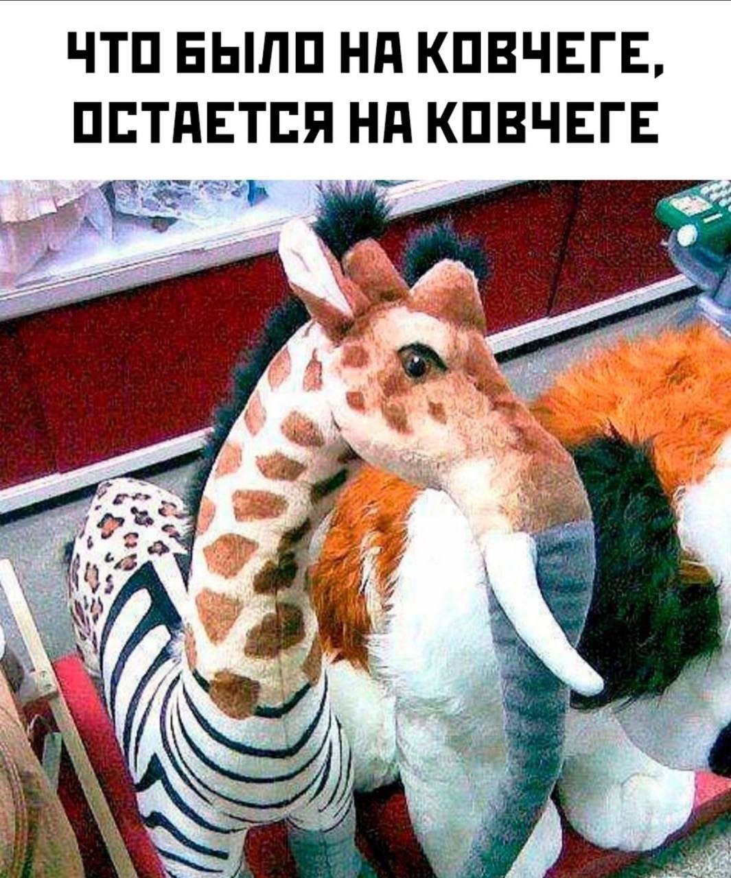 День 24
🔤 слушала лекцию про маркетинг и великих маркетологов Российской империи
🔤 ходила фотографироваться
🔤 восторгалась своей камерой
🔤 занималась английским
🔤 очень много вывозила | Сетка — социальная сеть от hh.ru