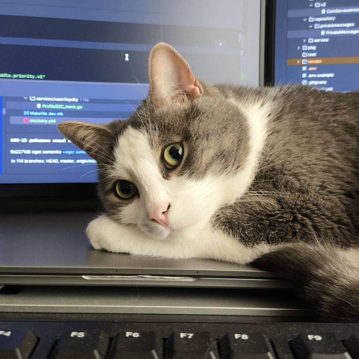 Кайтагов Рамазан