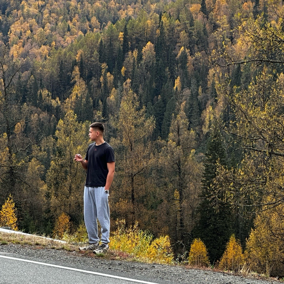 Матвей Панин | Сетка — социальная сеть от hh.ru