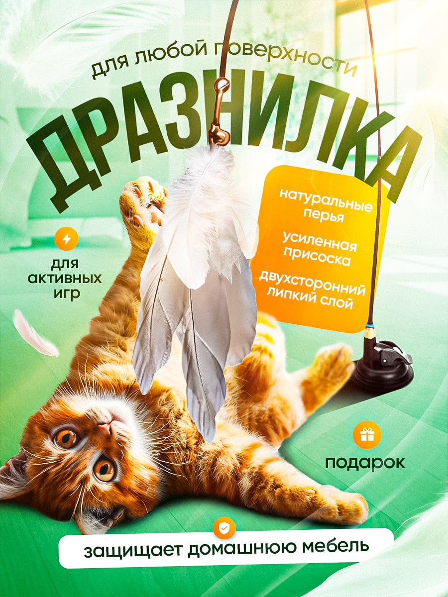 🐈Пушистая серия инфографики
все также буду благодарна за обратную связь | Сетка — социальная сеть от hh.ru