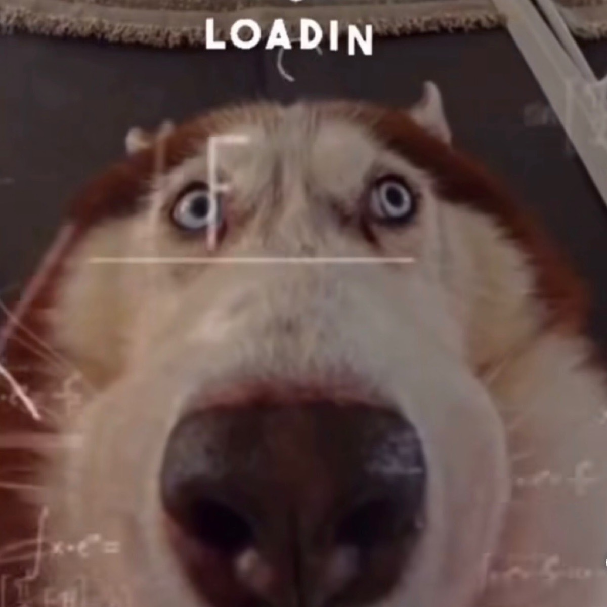 Арамзес Диринекян | Сетка — социальная сеть от hh.ru