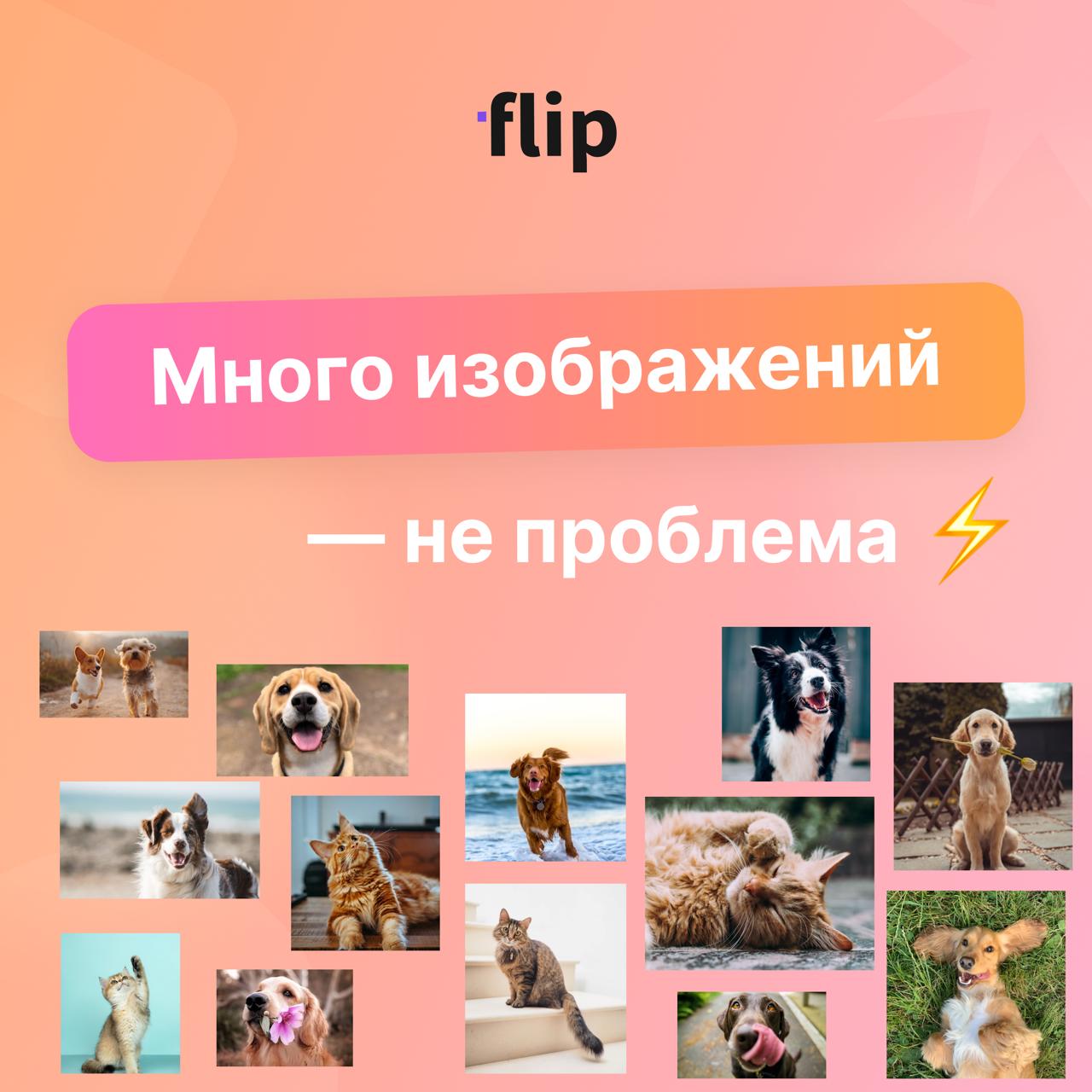 🆕 Большая оптимизация работы с большим количеством изображений
Вы могли замечать более медленную работу доски, если на ней находится много изображений | Сетка — социальная сеть от hh.ru