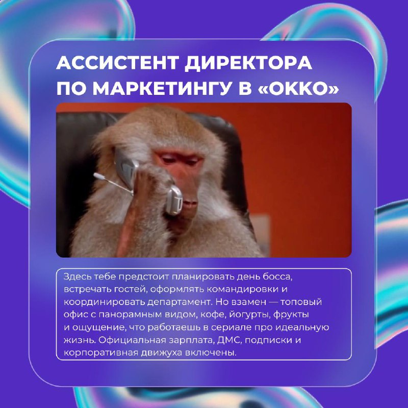 Это что, шутка? 🐵
Вовсе нет!
Мы собрали для вас подборку самых необычных и забавных вакансий этого месяца | Сетка — социальная сеть от hh.ru