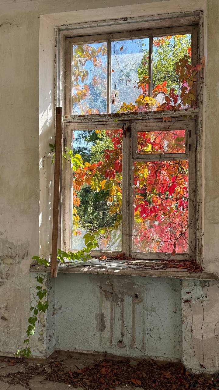 На секретном объекте с помпезным прошлым, романтичным, но заброшенным осенним настоящим и захватывающим будущим. Придумываем!
• #joboftheday #сферическийпроектмечты • | Сетка — социальная сеть от hh.ru