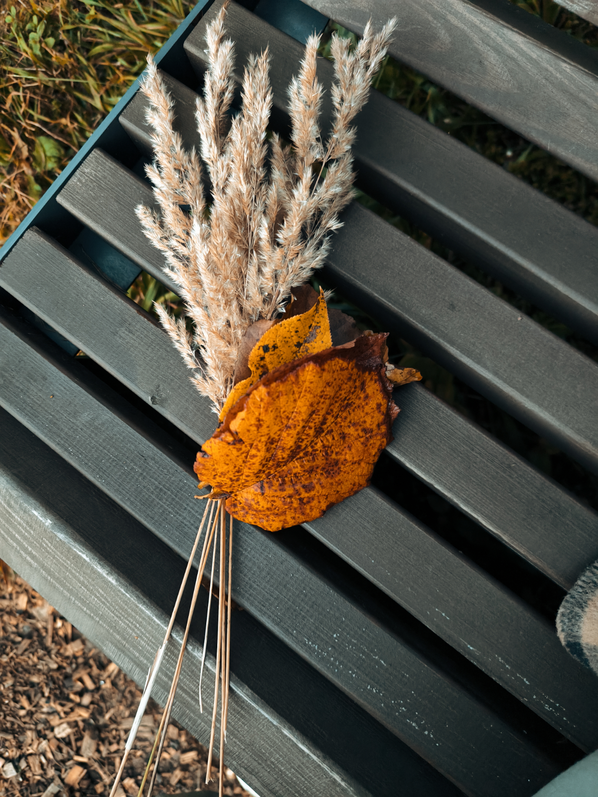 Autumn vibe🧣🍁 | Сетка — социальная сеть от hh.ru